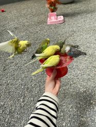 -萌宠亲子动物乐园(槐房万达店)