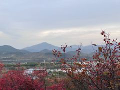 -北京金海湖景区