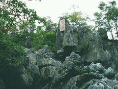 android_upload_pic-千岛湖石林