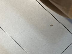 大堂-壹块捌烧烤(灯市口店)