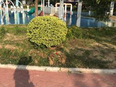 -欢乐水魔方水世界
