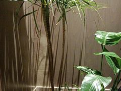 -翕间食·精致淮扬菜(江苏大剧院店)