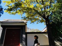 -阳台山自然风景区