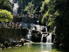 -鼎湖山风景区