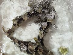-十四涌水产中心