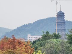 -南华禅寺