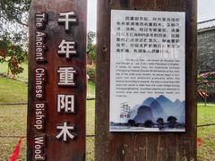 -蔡家宅