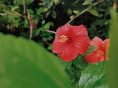 -白云山风景名胜区