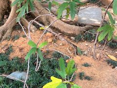 -广州神农草堂中医药博物馆