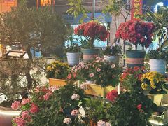 -山水茶艺馆·点心粤菜·30年老字号