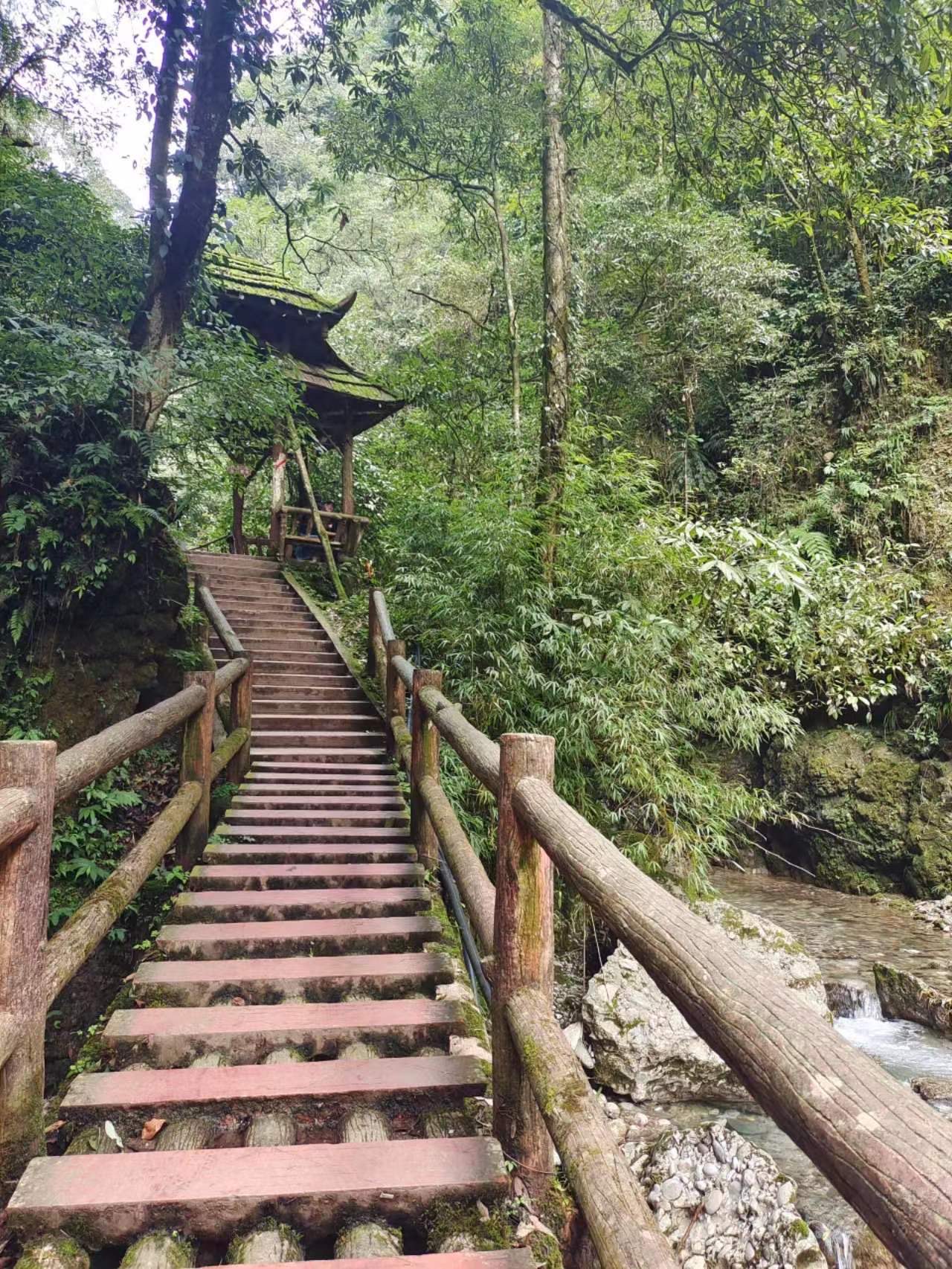 青城山后山真是纯纯的爬山