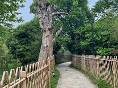 -虞山风景区