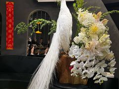 -滇野云南野生菌餐厅(陕西南路店)