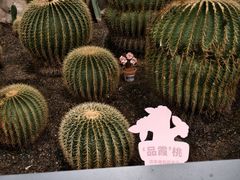 -国家植物园南园