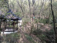 -宝岩生态观光园