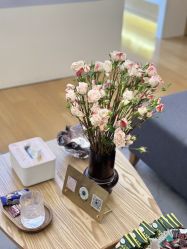 -ROYEA茹彦祛痘·问题肌肤修护中心