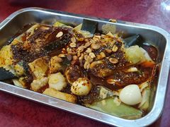 -金张掖麻辣烫(凤城一路店)