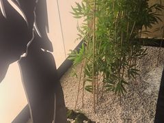 -新紫霞养生·影院足道·SPA(金山区店)