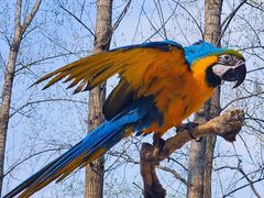 -北京野生动物园