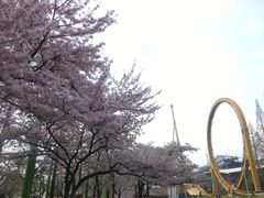 -三井奥特莱斯购物城(爵士之梦长岛店)