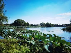 -梁鸿国家湿地公园