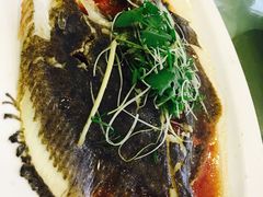 -新梅园不夜粥(龙华店)