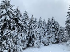 -太子岭滑雪场