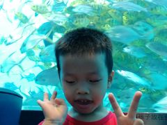 -瑞德姆美人鱼海底演艺主题餐厅(亚龙湾店)