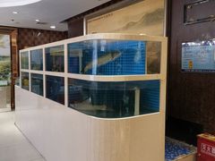 -乡村小镇(新合店)