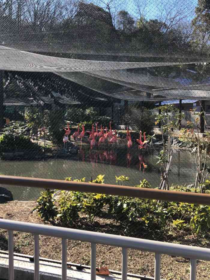 东山动植物园-"东山动植物园在日本名古屋~~ 作为一个资.