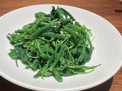 山茶油丝瓜尖-清水亭湖北菜(大屯DT51店)
