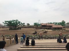 -中国马镇舞马世界主题乐园