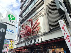 -蟹道乐(道顿堀本店)