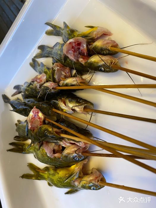 味当家鱼头火锅.•甲鱼料理(金沙店)通威三角峰图片