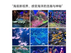 -威海华夏城景区