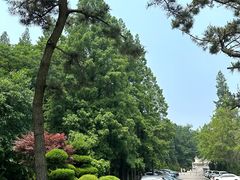 -棒棰岛宾馆景区