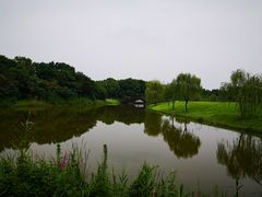 -南湖湿地公园