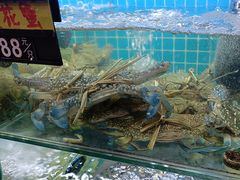 -覃记海鲜美食餐厅