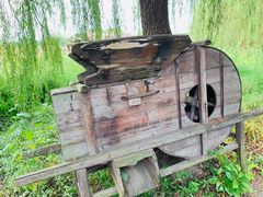 -长田漾湿地公园