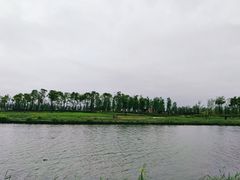 -春花秋色城市公园