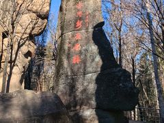 -汤旺河林海奇石景区
