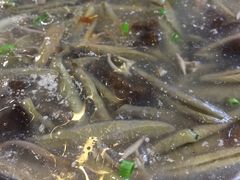 银鱼莼菜汤-元泰酒店