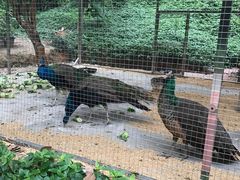 -厦门悦华酒店