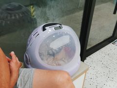 -瑞派康怡24h宠物医院·犬猫医疗中心·微创绝育(瑞景分院)