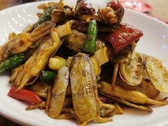 辣炒蛏子-必点海鲜·鲅鱼水饺(鞍山西道店)