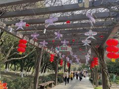 -白马涧龙池景区
