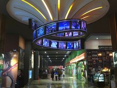 -SFC上影影城(成都科华IMAX店)