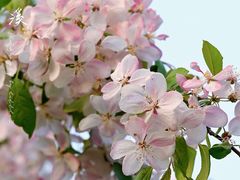 -海棠花溪(元大都城垣遗址公园)