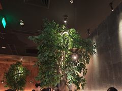 -同仁四季椰子鸡(无锡滨湖万象汇店)