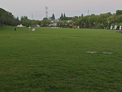 -昆山城市生态森林公园